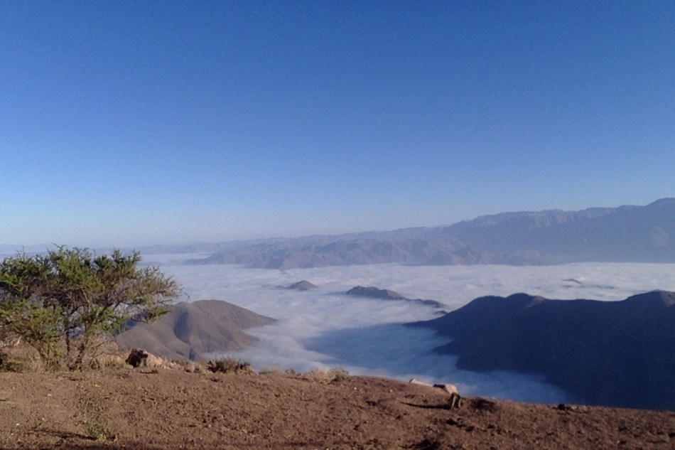 ValleyFog